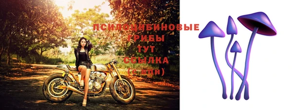 a pvp Краснослободск