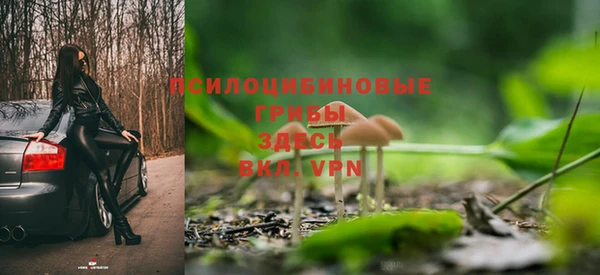 a pvp Краснослободск